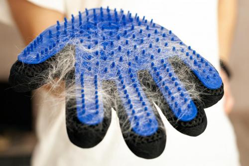 Girl with cat shedding, bathing, grooming, deshedding glove.The glove with cats hair on it. equipment for caring domestic pets and animals wool.